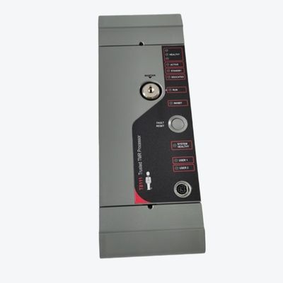 ICS TRIPLEX T8193C op Vertrouwde Module van de Machtsdistributie