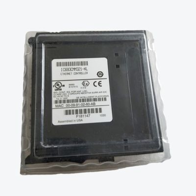 ANALOGE HUIDIGE DE INPUTmodule VAN GE FANUC IC693ALG221 RX3I CHS012